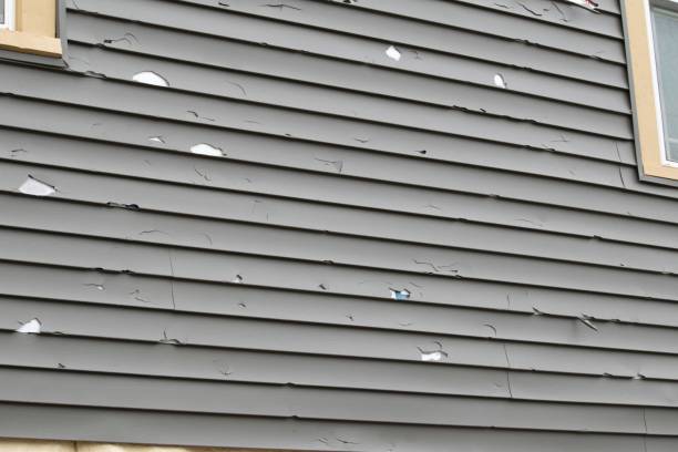 Best Storm Damage Siding Repair  in Garnett, KS